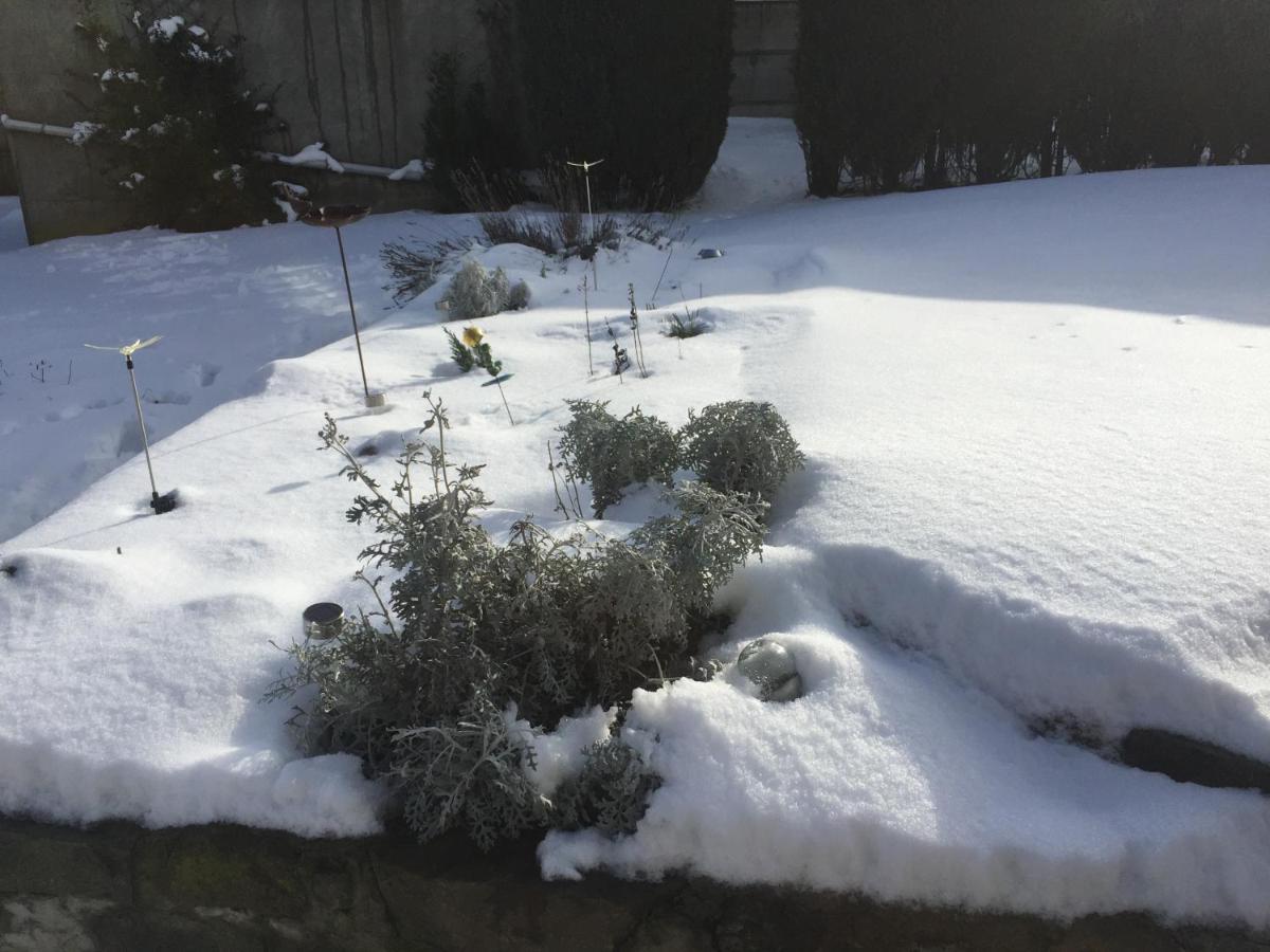 Ferme De La Petite Fagne Bed and Breakfast Spa Buitenkant foto